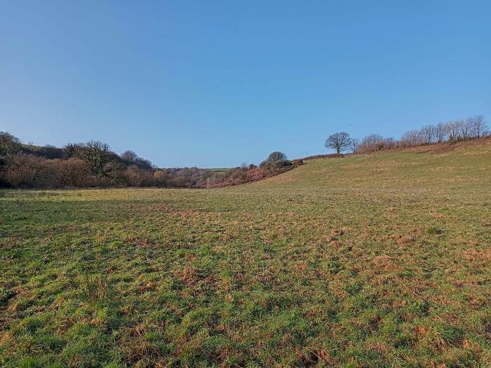 Land For Sale In Henfeddau, Llanfyrnach, Pembrokeshire, SA35