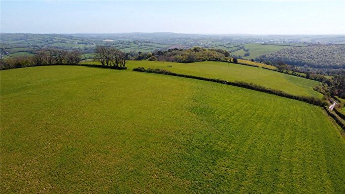 Land For Sale In Ermington, Ivybridge, Devon, PL21