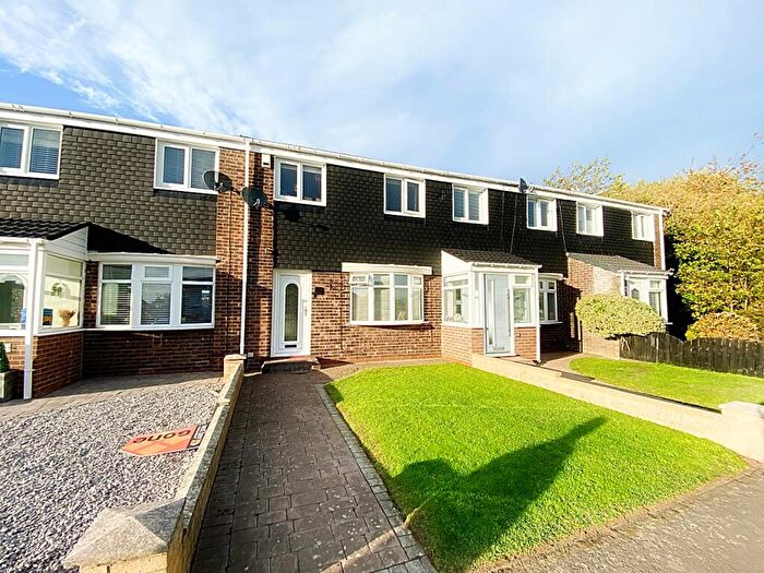 3 Bedroom Terraced House For Sale In Hotspur Road, Sunholme Estate, Wallsend, NE28