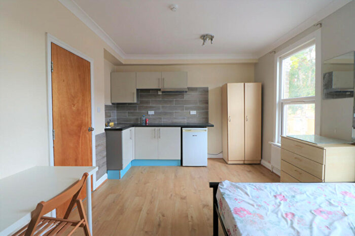 Studio To Rent In Murchison Road, London, E10