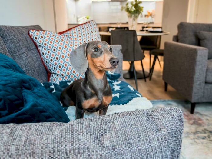 2 Bedroom Apartment To Rent In Flat :: The Quarters, M1