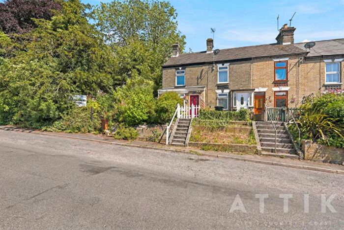 2 Bedroom End Of Terrace House For Sale In Bungay Road, Halesworth, IP19