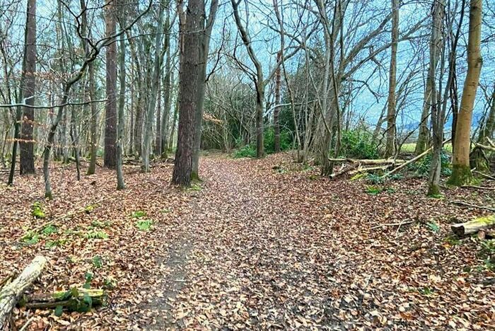 Land For Sale In Dial Green, Lurgashall, Petworth, GU28