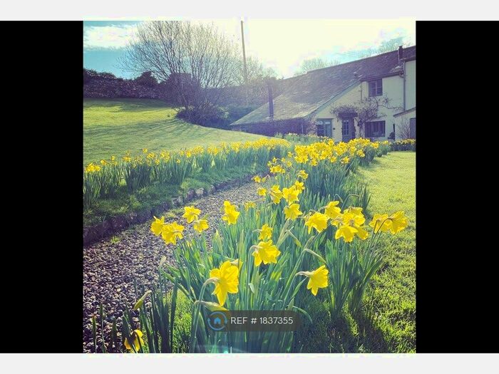 3 Bedroom Semi-Detached House To Rent In Lower Blagdon Lane, Paignton, TQ3