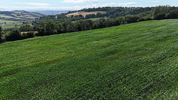 Land For Sale In Land At Bullmoor Cross, Musbury, Axminster, EX13