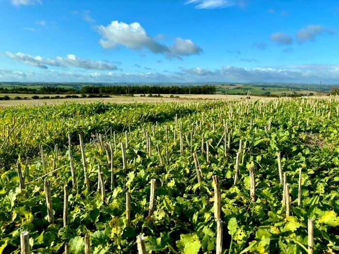 Land For Sale In Land At Lanchester, Peth Lane, Lanchester, Durham, DH7