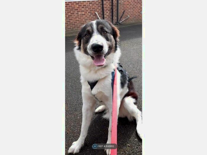 2 Bedroom Detached House To Rent In Kitwood Green, Havant, PO9