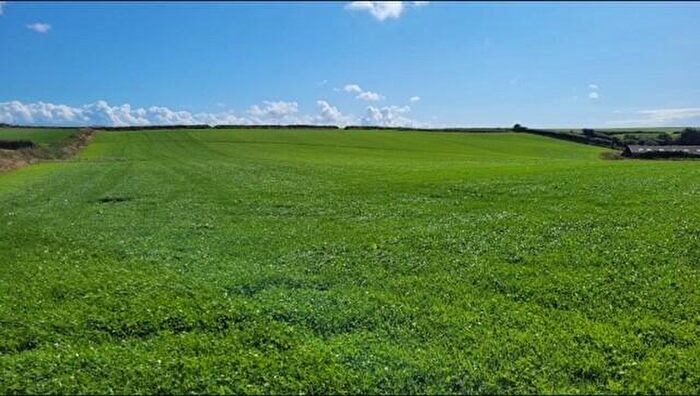 Land To Rent In Land At Poltreworgey Farm, Port Isaac, Cornwall, PL29
