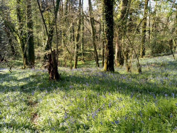 Land For Sale In Brownston, Ivybridge, PL21