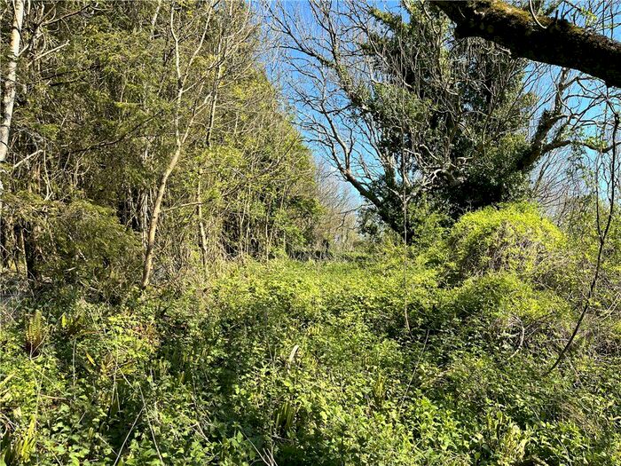 Land For Sale In Charmouth, Bridport, Dorset, DT6