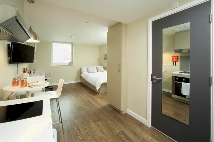 Studio To Rent In Grantham Road, Sandyford, Newcastle Upon Tyne, NE2