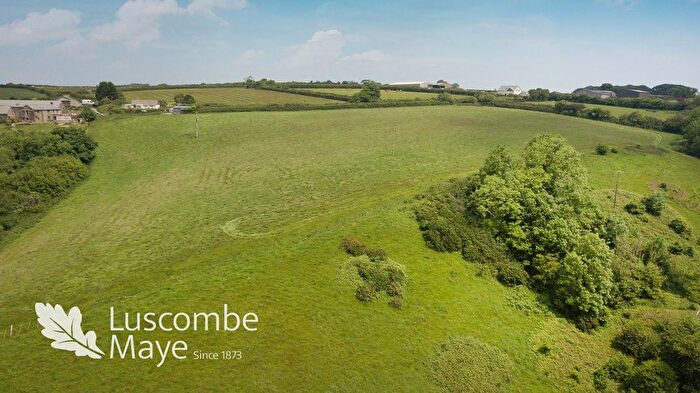 Land For Sale In West Hartley, Blackawton, Totnes, TQ9