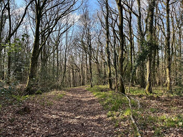 Land For Sale In Washford Pyne, Crediton, EX17