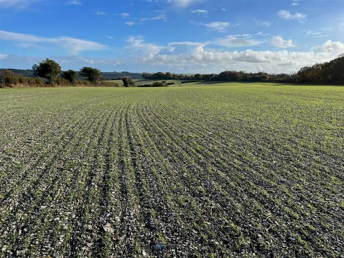 Land For Sale In Minterne Magna, Dorchester, Dorset, DT2