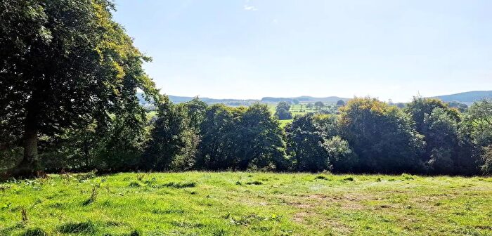 Development Lands For Sale In Site Adj, Knocknougher Road, Coleraine, BT51