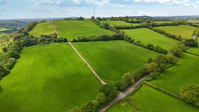 2 Bedroom Detached Bungalow For Sale In Bampton, Tiverton, Devon, EX16