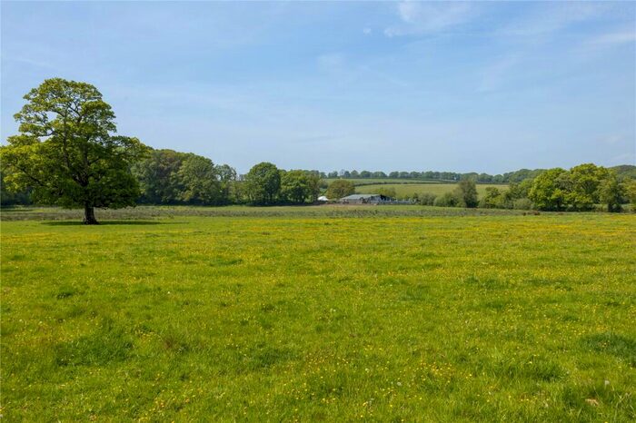 Land For Sale In Okehampton, Devon, EX20