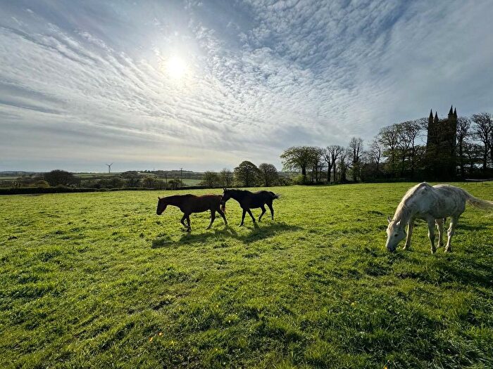 Land For Sale In Pancrasweek, Holsworthy, EX22