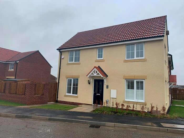 3 Bedroom Semi-Detached House To Rent In Blackwood Road, Shore View, Blyth, NE24