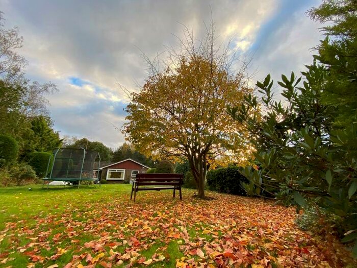 3 Bedroom Bungalow To Rent In Goldsworth Park, GU21