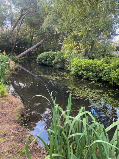 3 Bedroom House To Rent In South Western Crescent, BH14