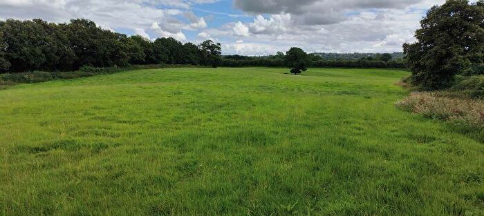 Land For Sale In Lot - Mill House Farm, Watery Lane, Congleton - . Acres Of Grassland, CW12