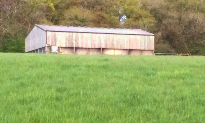 Land For Sale In Stoke Road, Kelly Bray, PL17