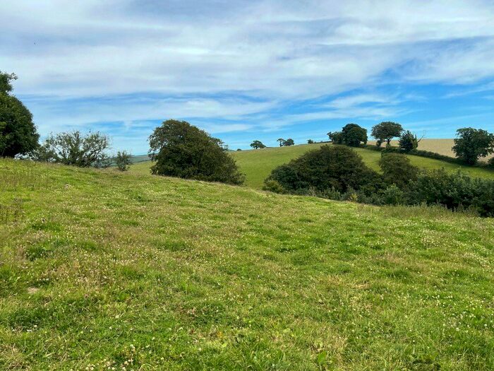 Land For Sale In Kilworthy, Tavistock, Devon, PL19