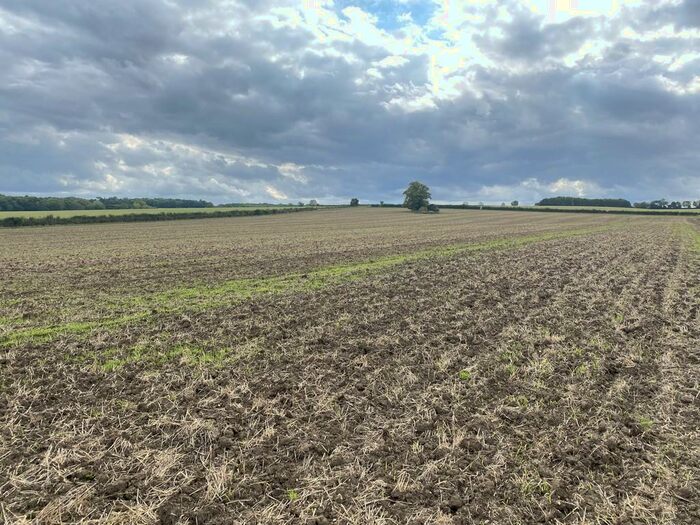 Farm Land For Sale In Land At Kirtling (Lot ), Newmarket, CB8