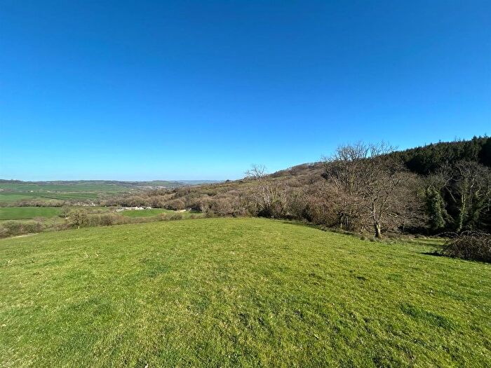 Land For Sale In Farway, Colyton, EX24