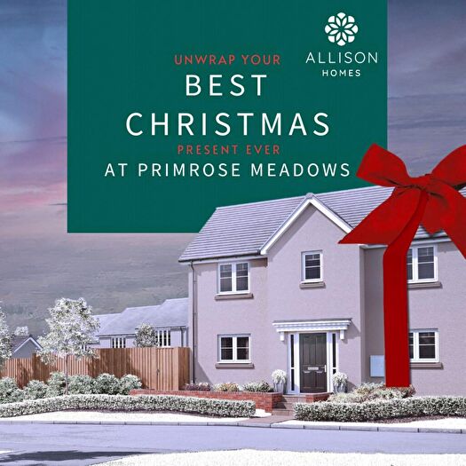 4 Bedroom Detached House For Sale In Primrose Meadows, Bradworthy, EX22