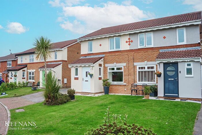3 Bedroom Semi-detached House For Sale In Delphinium Way, Darwen, BB3
