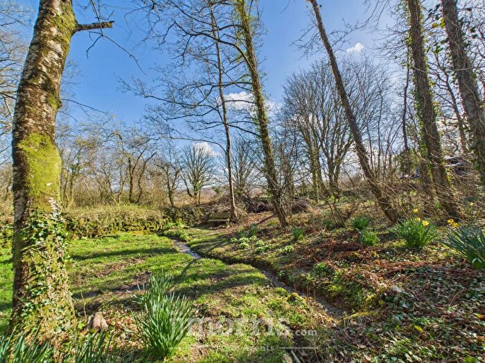 Land For Sale In The Grove (Woodland), Cilgwyn Road, Newport, SA42