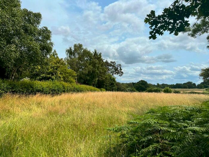 Land For Sale In Landford Wood, Salisbury, Wiltshire, SP5