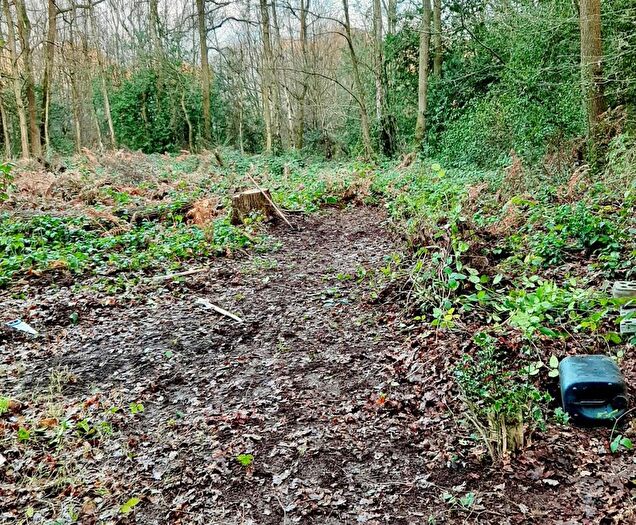 Land For Sale In Land Rear Woodland View, Hornash Lane, Shadoxhurst, Ashford, Kent, TN26