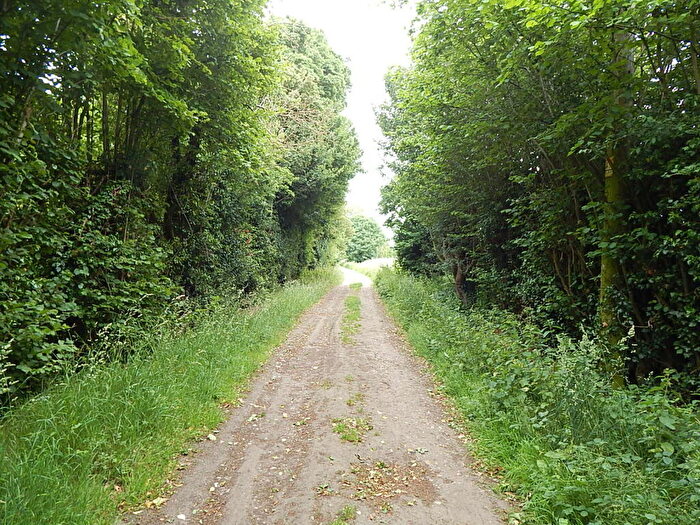 Land For Sale In Land Off, Plummers Lane, Saxlingham Nethergate, Norfolk, NR15