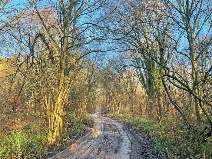 Land For Sale In Russ Hill, Charlwood, Horley RH6