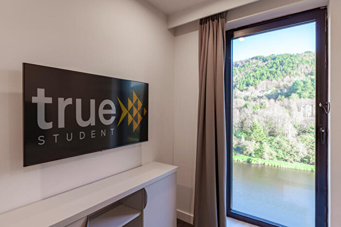 1 Bedroom Flat To Rent In Morfa Road, Swansea, SA1