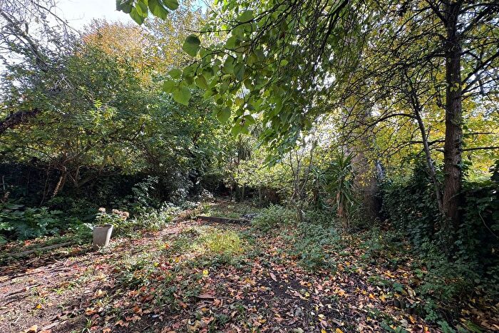 1 Bedroom Flat To Rent In Mildmay Grove South, Islington London, N1