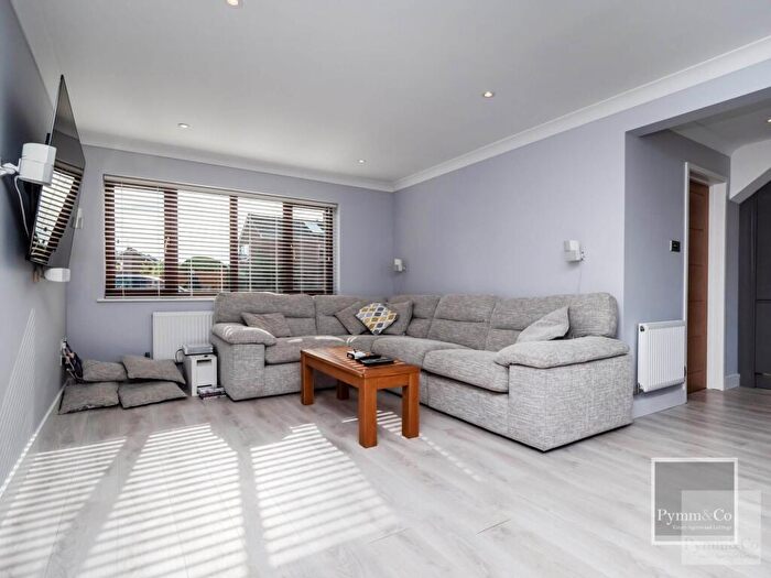 3 Bedroom Detached House To Rent In Danesbower Close, Norwich, NR13