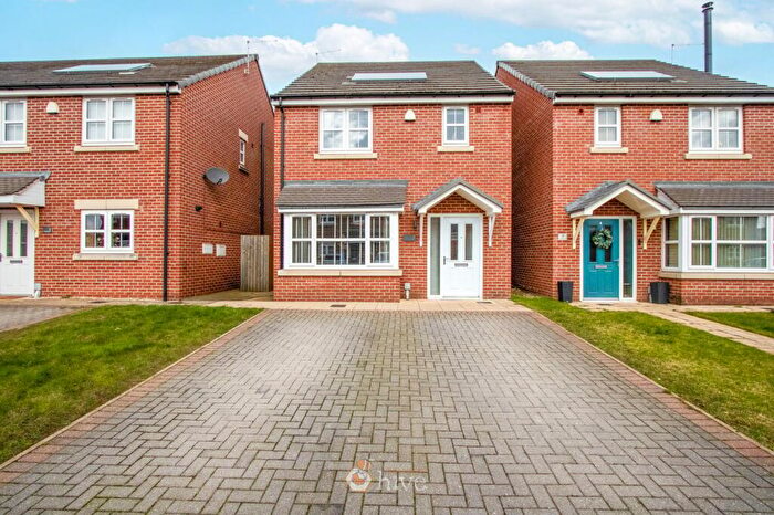 3 Bedroom Detached House To Rent In Hawk Drive, Blaxton, Doncaster, DN9