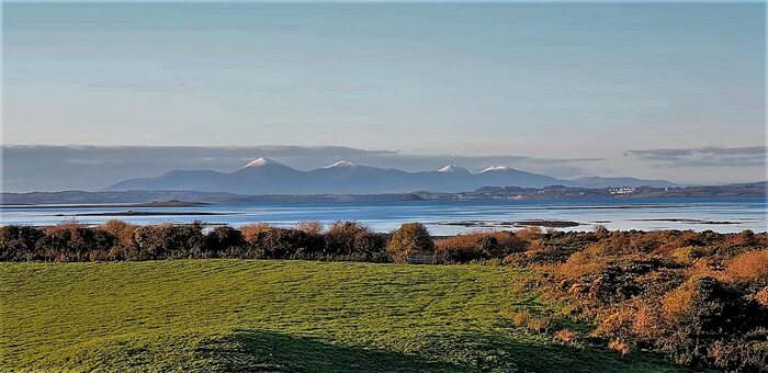 Land For Sale In Rowreagh Road, Kircubbin, BT22