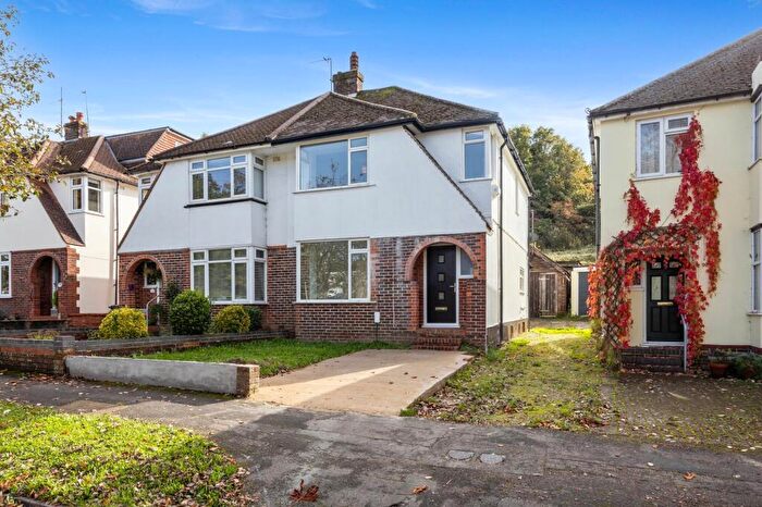 3 Bedroom Semi-Detached House To Rent In Mackie Avenue, Brighton, BN1