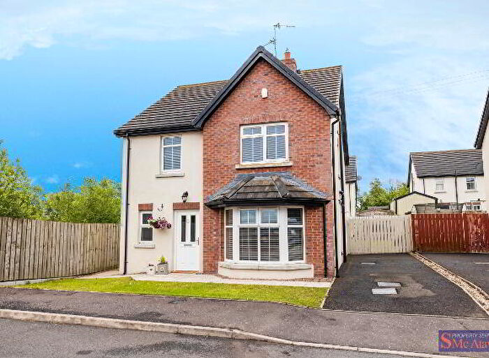 4 Bedroom Detached House For Sale In Loughview Grange, Craigavon, BT67