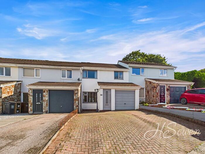3 Bedroom Terraced House For Sale In Burn River Rise, Torquay, TQ2