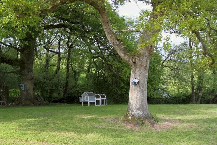 Land For Sale In Woodacott, Holsworthy, EX22