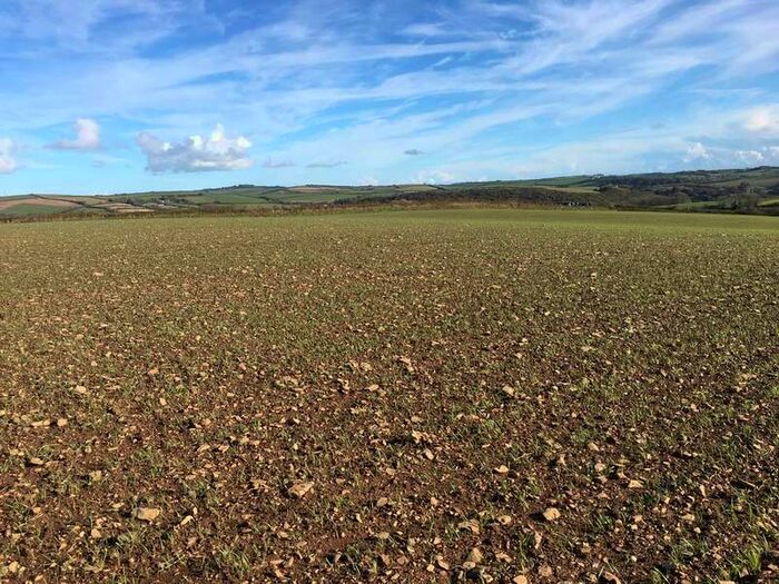 Commercial Land For Sale In Loddiswell, TQ7