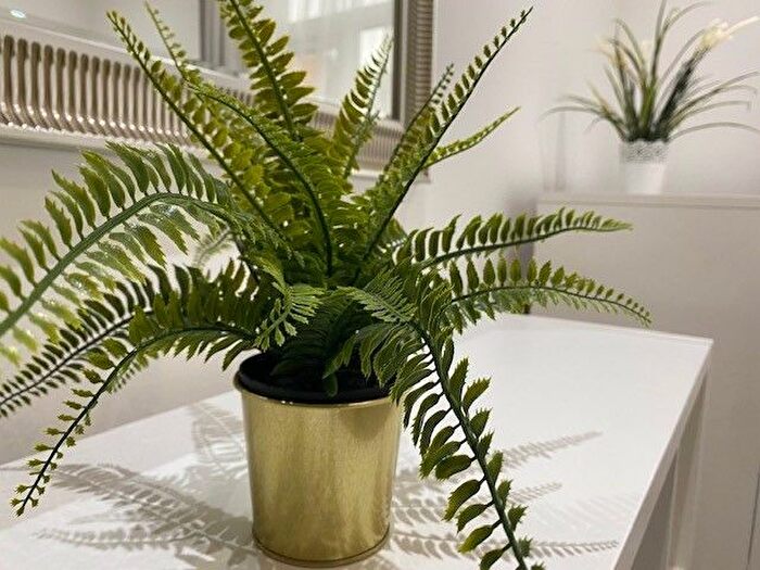 3 Bedroom Flat To Rent In Rannoch Road, Hammersmith, W6