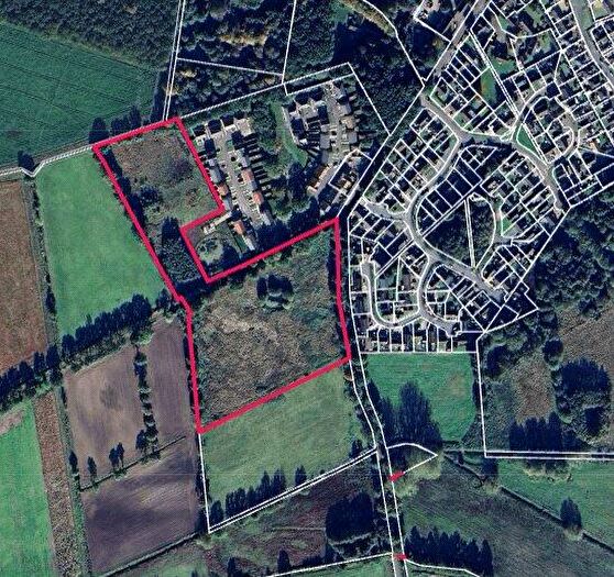 Land For Sale In North Pickenham Road, Necton, Swaffham, Norfolk, PE37