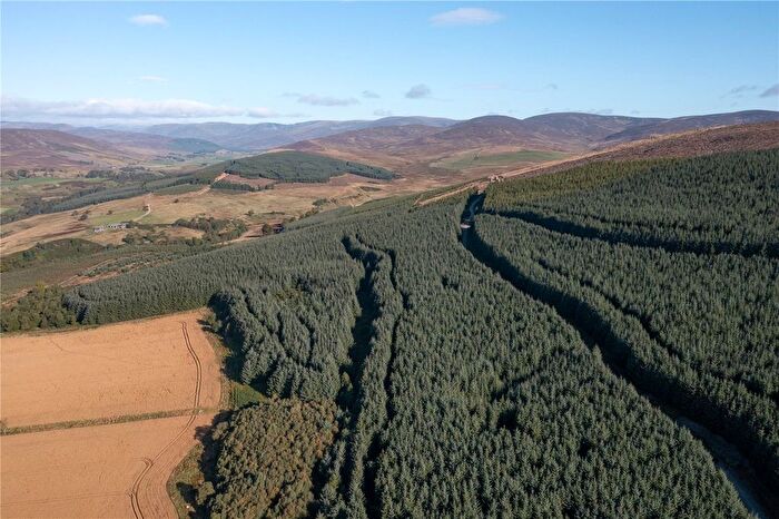 Land For Sale In Glen Moy Woodlands, Bridgend, Angus, DD8